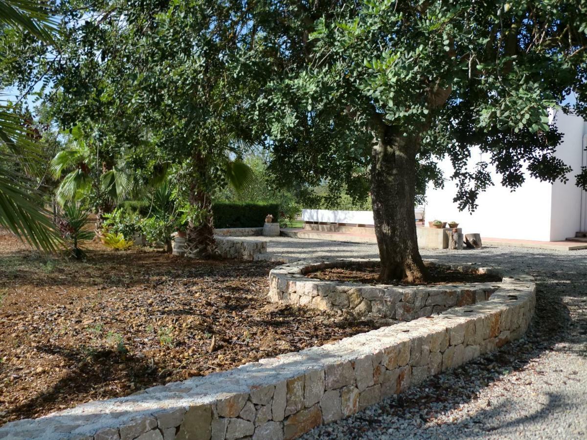 Villa Sa Vinyeta Sant Llorenc de Balafia Екстериор снимка